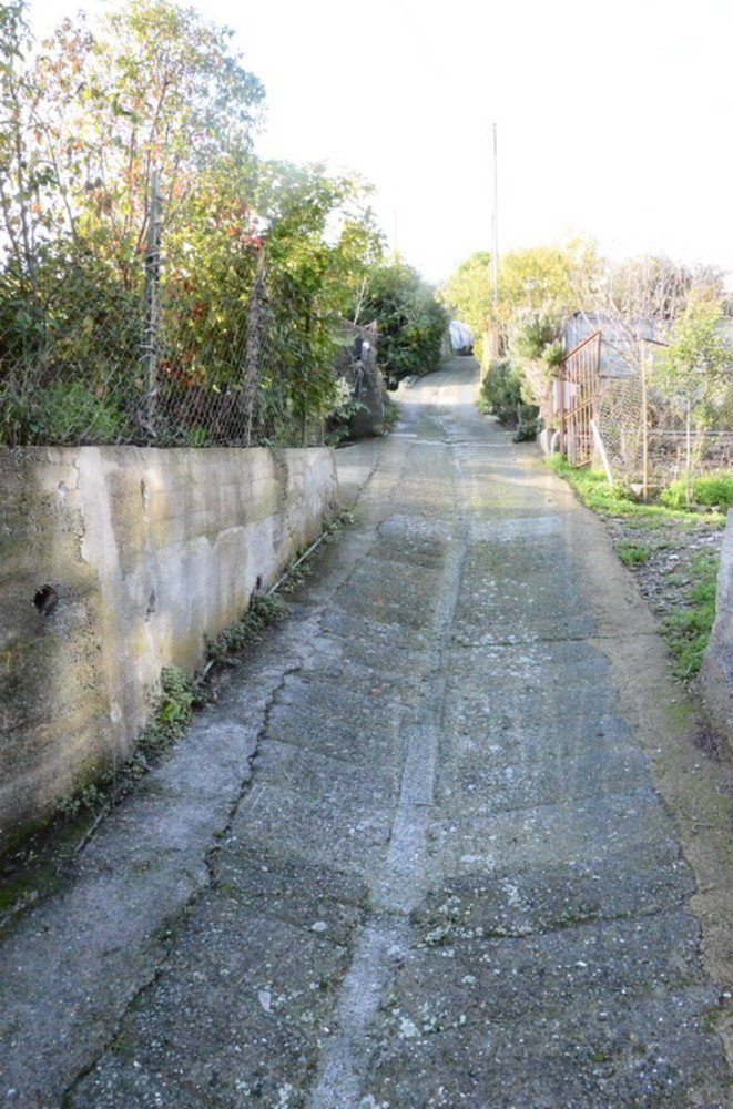 Sanremo: auto va fuori strada in via Borgo Ponente, intervento dei Vigili del Fuoco e nessun ferito Sanremo: auto va fuori strada in via Borgo Ponente, intervento dei Vigili del Fuoco e nessun ferito