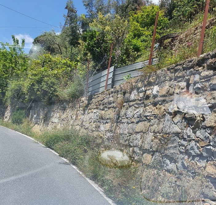 Sanremo: serve un'opera di sfalcio in strada Senatore Ernesto Marsaglia, le foto di un nostro lettore Sanremo: serve un'opera di sfalcio in strada Senatore Ernesto Marsaglia, le foto di un nostro lettore