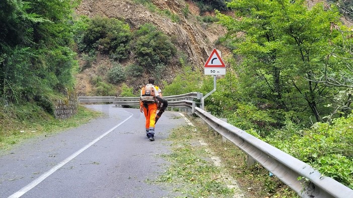 Sanremo aderisce al protocollo con la Provincia per sfalcio e manutenzione delle strade provinciali: contributo da 13.270 euro Sanremo aderisce al protocollo con la Provincia per sfalcio e manutenzione delle strade provinciali: contributo da 13.270 euro