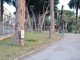 Ventimiglia: prende forma il restyling dei Giardini Tommaso Reggio, al lavoro per un progetto condiviso fra le due associazioni che hanno avanzato le proposte