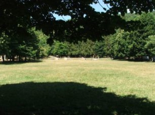 Sanremo: bidoni rovesciati domenica scorsa a San Romolo, la mail di un nostro lettore