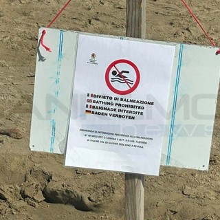 Mare vietato ad Arma, esposto in Procura: Alleanza Progressista chiede accertamenti su controlli e rete fognaria