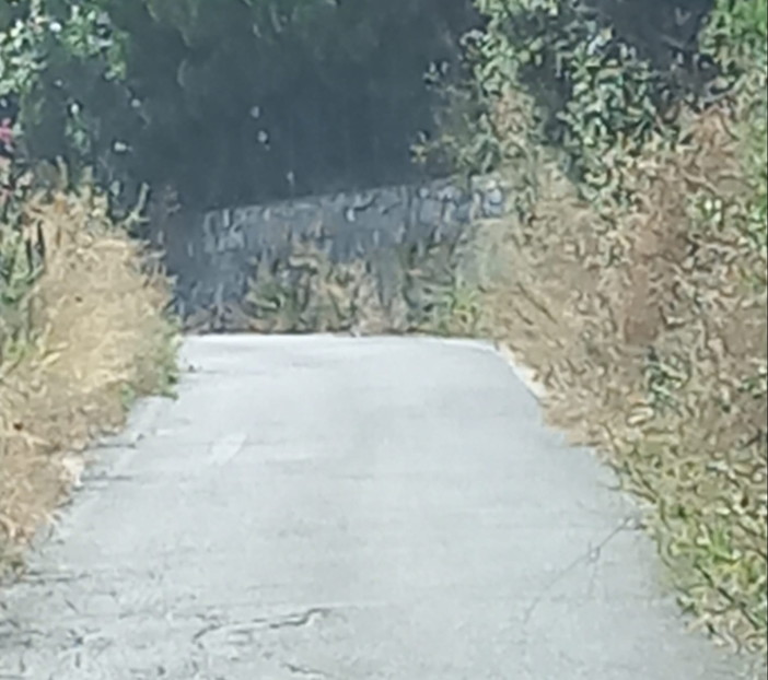 Sanremo: lavori in strada Sen. Marsaglia e deviazione su via Ortigara che però sarebbe da pulire (Foto) Sanremo: lavori in strada Sen. Marsaglia e deviazione su via Ortigara che però sarebbe da pulire (Foto)