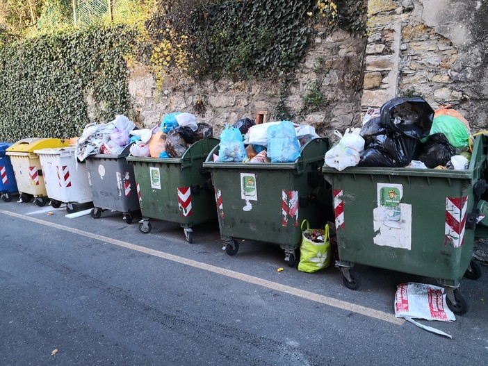 Pontedassio: via allo sciopero dei netturbini, presidio sotto il comune e invasione di spazzatura in tutta la provincia (Foto e video) Pontedassio: via allo sciopero dei netturbini, presidio sotto il comune e invasione di spazzatura in tutta la provincia (Foto e video)