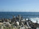 Sanremo: qualche buontempone ha creato una piccola 'Stonehenge' alla foce del San Martino Sanremo: qualche buontempone ha creato una piccola 'Stonehenge' alla foce del San Martino
