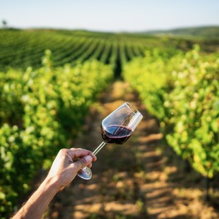 Evoluzione e cambi nel consumo: il vino diventa sempre di più una "scelta consapevole"
