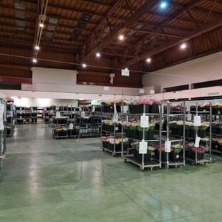 Il Mercato dei Fiori di Sanremo Il Mercato dei Fiori di Sanremo