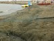 Imperia: problemi sulla spiaggia per diversamente abili, un lettore chiede un intervento al Comune (Foto) Imperia: problemi sulla spiaggia per diversamente abili, un lettore chiede un intervento al Comune (Foto)