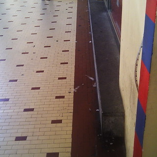 Imperia: pulizia via Bonfante, lettore "Sanzionare chi getta gomme a terra"