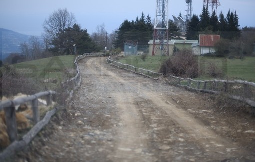 Sanremo: il Consorzio Forestale di Monte Bignone cerca un Direttore Tecnico
