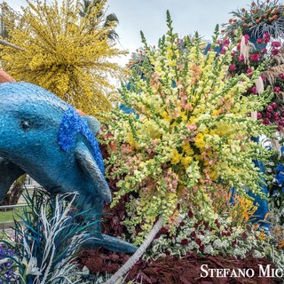 Immagine di repertorio dal Corso Fiorito 2018 Immagine di repertorio dal Corso Fiorito 2018
