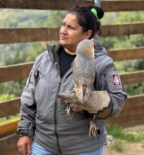 Sabina Camarda Sabina Camarda