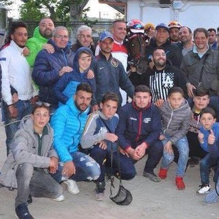 Il Varenne dei minitrotter si chiama Sanremo: un cavallo che sta facendo sognare tutta Italia Il Varenne dei minitrotter si chiama Sanremo: un cavallo che sta facendo sognare tutta Italia