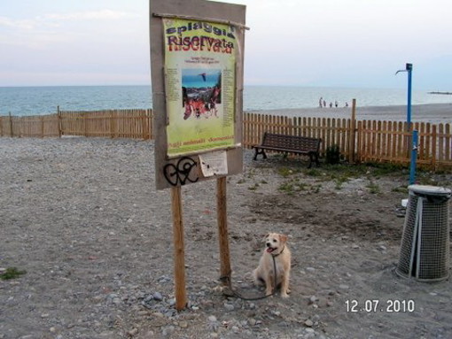 Bordighera: cani sulle spiagge, la risposta della Lega del Cane ai balneari