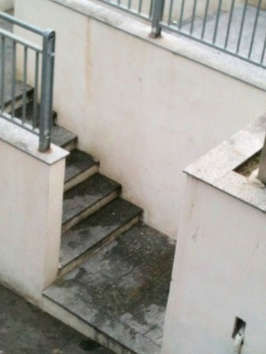 Sanremo: sporcizia e degrado sulla pista ciclabile, la mail e la foto di una nostra lettrice Sanremo: sporcizia e degrado sulla pista ciclabile, la mail e la foto di una nostra lettrice