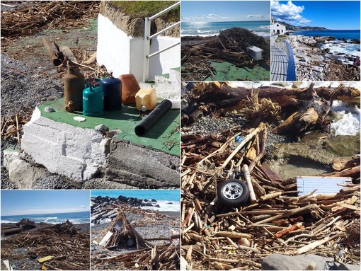 Le immagini dal lungomare di Bordighera Le immagini dal lungomare di Bordighera