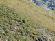 A Mentone la presentazione del progetto ‘Strada ex-militare Monesi, Briga Alta, la Brigue, Limone Piemonte, Col de Tende’ A Mentone la presentazione del progetto ‘Strada ex-militare Monesi, Briga Alta, la Brigue, Limone Piemonte, Col de Tende’