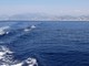 Ventimiglia: al via oggi il progetto di alternanza scuola lavoro sul 'Santuario dei Cetacei Pelagos'