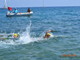 Durante 'Sport in Porto' la Bordighera nuoto organizza la 3a edizione della 'Nuotata in Mare'