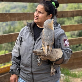 Sabina Camarda Sabina Camarda