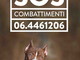 Dalla nostra provincia partì un'indagine contro i combattimenti tra animali: ritorna il numero per le segnalazioni della Lav Dalla nostra provincia partì un'indagine contro i combattimenti tra animali: ritorna il numero per le segnalazioni della Lav