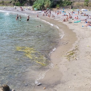 Bordighera: troppe imbarcazioni vicine alla riva al 'Giunchetto' e manca il rispetto delle normative Bordighera: troppe imbarcazioni vicine alla riva al 'Giunchetto' e manca il rispetto delle normative
