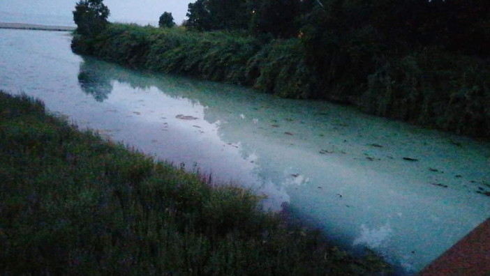 Sversamento nell'oasi del Nervia: Ventimiglia progressista "Sindaco e Assessore, silenzio assordante" Sversamento nell'oasi del Nervia: Ventimiglia progressista "Sindaco e Assessore, silenzio assordante"