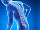 Stop all'osteoporosi: domani da SanremoBio il test di densitometria ossea con la consulenza del Centro Medicina Naturale Stop all'osteoporosi: domani da SanremoBio il test di densitometria ossea con la consulenza del Centro Medicina Naturale