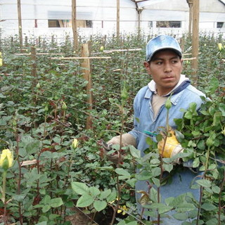 Il 4 aprile, 2° seminario delle 'Serate con l’Università a Sanremo 2010-2011'