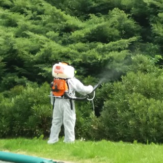 Bordighera, programmato intervento di disinfestazione antizanzare Bordighera, programmato intervento di disinfestazione antizanzare