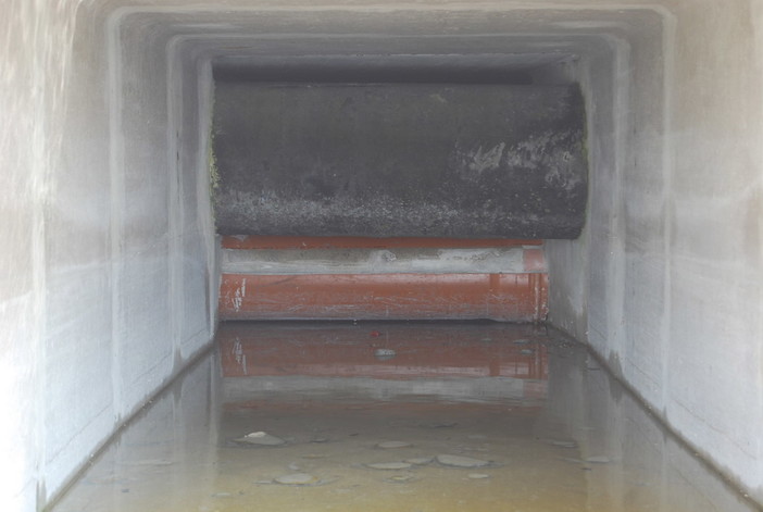 Bordighera: le preoccupazione dell'ex Consigliere Comunale Donatella Albano Bordighera: le preoccupazione dell'ex Consigliere Comunale Donatella Albano