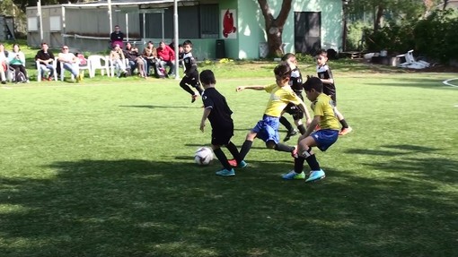 Calcio giovanile, Piccoli Amici. San Bartolomeo Calcio-Oneglia: riviviamo il match (FOTO e VIDEO) Calcio giovanile, Piccoli Amici. San Bartolomeo Calcio-Oneglia: riviviamo il match (FOTO e VIDEO)