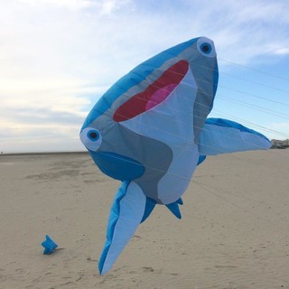 Imperia: le foto del primo giorno del festival aquilonistico 'Sol&Vento 2013' Imperia: le foto del primo giorno del festival aquilonistico 'Sol&Vento 2013'