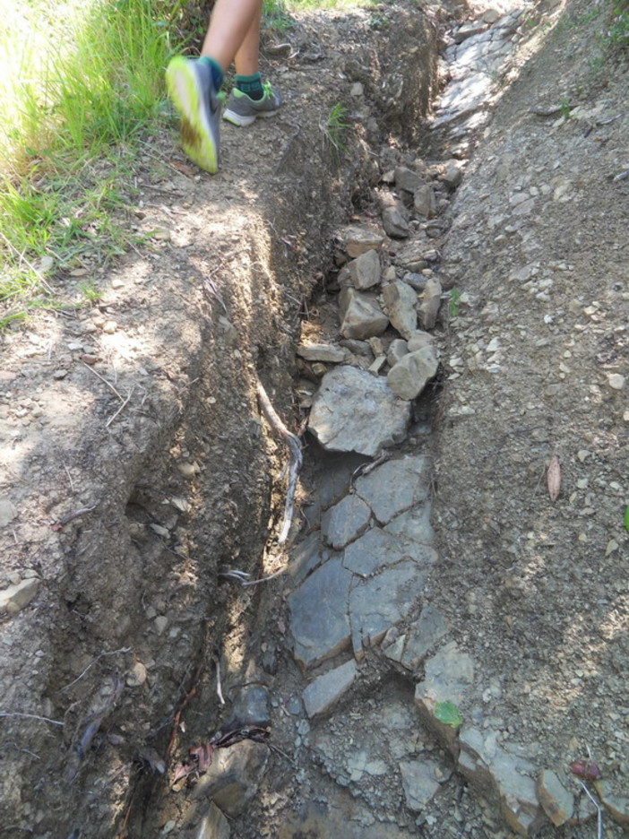 Sentiero a Montenero