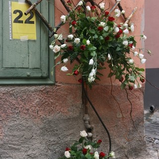 Bordighera: nel prossimo weekend il concorso di composizione 'Sciure in ti carugi' Bordighera: nel prossimo weekend il concorso di composizione 'Sciure in ti carugi'