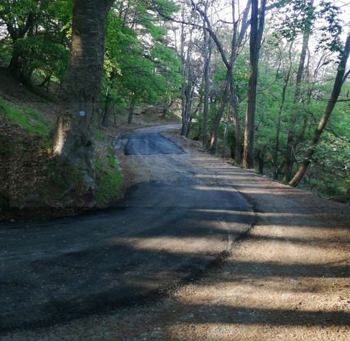 Sanremo: finalmente si può salire a Monte Bignone, il comune investe 30mila euro nella strada Sanremo: finalmente si può salire a Monte Bignone, il comune investe 30mila euro nella strada