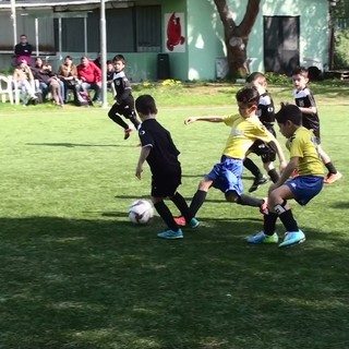 Calcio giovanile, Piccoli Amici. San Bartolomeo Calcio-Oneglia: riviviamo il match (FOTO e VIDEO) Calcio giovanile, Piccoli Amici. San Bartolomeo Calcio-Oneglia: riviviamo il match (FOTO e VIDEO)