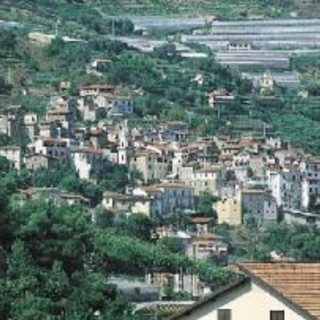 San Biagio della Cima: albero crolla sulla provinciale 59