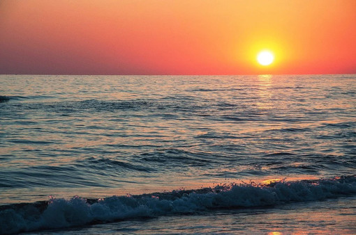 Neanche la pandemia ha fermato la ricerca di siti di incontri di escort e trans