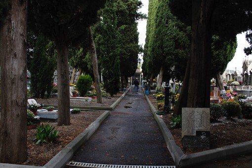 Sanremo: due alberi del Cimitero di Valle Armea a rischio caduta, saranno abbattuti a breve Sanremo: due alberi del Cimitero di Valle Armea a rischio caduta, saranno abbattuti a breve