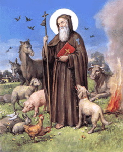 Ventimiglia: domenica prossima a Marina San Giuseppe, il 20esimo raduno degli animali Ventimiglia: domenica prossima a Marina San Giuseppe, il 20esimo raduno degli animali