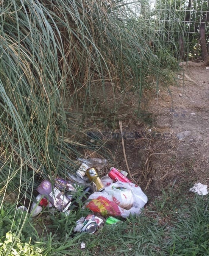 La spazzatura abbandonata nei giardini del lungomare Calvino