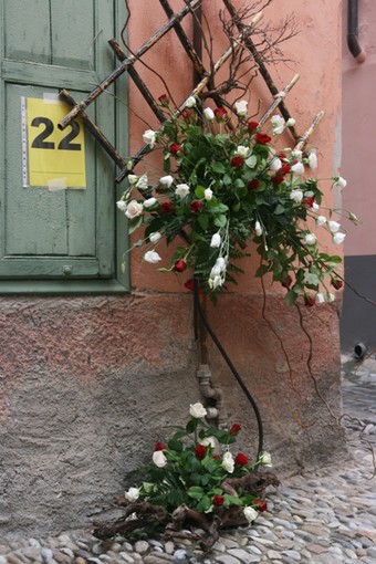 Bordighera: nel prossimo weekend il concorso di composizione 'Sciure in ti carugi' Bordighera: nel prossimo weekend il concorso di composizione 'Sciure in ti carugi'