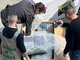 Ventimiglia: il fiuto di 'Kirk' scova 60 kg di droga in un furgone che trasportava complementi d'arredo (Foto)