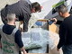 Ventimiglia: il fiuto di 'Kirk' scova 60 kg di droga in un furgone che trasportava complementi d'arredo (Foto) Ventimiglia: il fiuto di 'Kirk' scova 60 kg di droga in un furgone che trasportava complementi d'arredo (Foto)