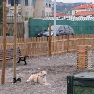 Vallecrosia: è finalmente attiva da oggi la spiaggia per i cani al confine con Camporosso