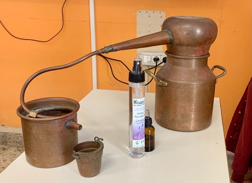 Gli studenti dell'Istituto G.Galilei di Imperia a scuola di olii essenziali e tradizioni Gli studenti dell'Istituto G.Galilei di Imperia a scuola di olii essenziali e tradizioni