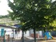 Sanremo: dopo la Primaria di via Volta chiusa anche una sezione della scuola dell'infanzia di Borgo Tinasso Sanremo: dopo la Primaria di via Volta chiusa anche una sezione della scuola dell'infanzia di Borgo Tinasso