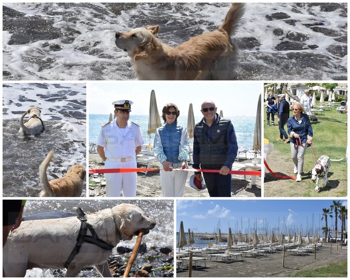 Santo Stefano al Mare: inaugurata questa mattina la spiaggia per cani a Marina degli Aregai (Foto e Video)