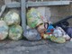 Sanremo: eliminati i bidoni in strada Mulattiera San Lorenzo ed i residenti continuano a lasciare i sacchetti (Foto)